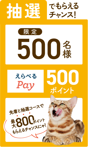 抽選でもらえるチャンス！