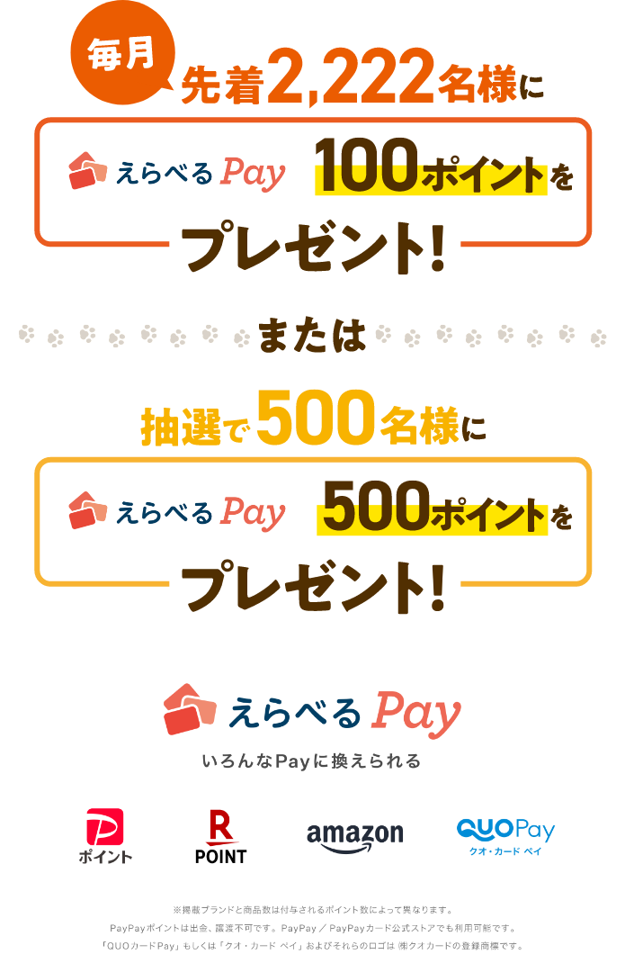 えらべるPayをプレゼント