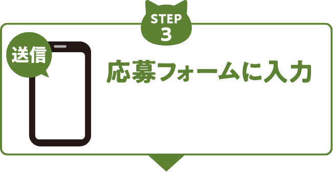 応募フォームに入力